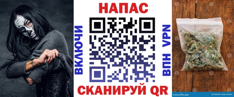 МАРИХУАНА сатива Балтийск